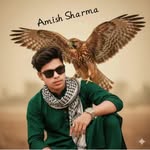 ꧁࿇♥Amish_sharma_0001♥࿇꧂ - @amish_sharma_0001 - Instagram