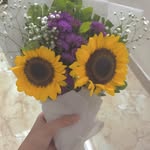 Amisha Pandya - @amishaa_02 - Instagram