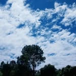 Àmîṣĥā✨️ - @amishasudan3 - Instagram