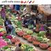 Amit Bose - Facebook