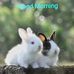 Amit nanda - Facebook