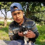 AmiT NegI - @a_mi_t_ne_gi - Instagram