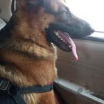 Amit Nehra - @nehra4653_khatik - Instagram