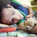 Amit Pant - @amitpant006 - Instagram
