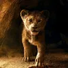 Amit Powar - @user3272133420514 - TikTok