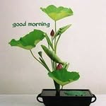 Amit Ranade - @amit.ranade.9216 - Instagram