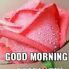 amitranade133 - @amitranade133 - TikTok