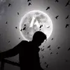 ❥Amit εditz...✿✿♡ - @amit_roy_official - TikTok