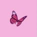 Amit Thapa - Facebook