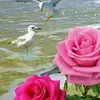 Amita sinha - @amitasanu244 - TikTok
