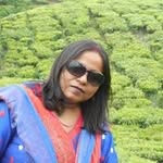 Amita Sinha - @amita_sinha_ - Instagram
