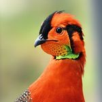Amitava Basu - @amitava.basu.14 - Instagram