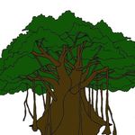 𝗔𝗺𝗶𝘁𝗮𝘃𝗮 𝗗𝗮𝘀 - @treefic - Instagram
