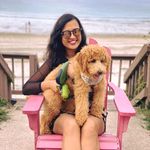 Amitha Murali - @amitha_murali - Instagram