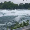 Amitha Murali - @amitha.murali - TikTok