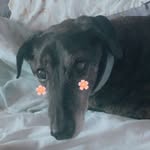 𝓐𝓶𝓲𝓽𝔂 𝓛𝓮𝓮 - @missamitylee - Instagram