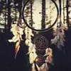 amitylee - @naomibrown43 - TikTok