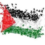 Abo Amjad Haddad - @aboamjadhaddad - Instagram