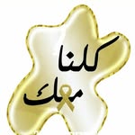 Amjad Haj - @hajamjad - Instagram