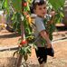 Amjad Haj - Facebook