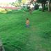 Ammar Hadi - Facebook