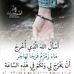 Ammar Helal - Facebook