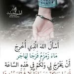 Ammar Helal - @helal_ammar - Instagram