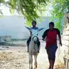 عمار ادريس - @ammaridrees59 - TikTok