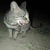 Ammar Jamali - @ammar.jamali0 - TikTok