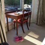 Poet, Culture Vulture, - @yvonnegreenpoetneemammon - Instagram