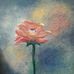 Amna Javed - Facebook