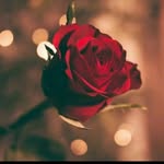 Amna Munir - @amnamunir2022 - Instagram