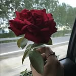 Amna Munir - @amna.hanan.501 - Instagram