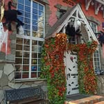 amolkohli67 - @amolkohli6775 - Instagram