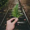 amol_rathore - @amol_rathore - TikTok