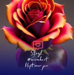 Amol Rathore Rathores - Facebook