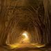 Amon Williams - Facebook