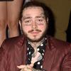 amonwilliams - @amonwilliams4444458790 - TikTok