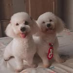coty e mora - @amora_scotty - Instagram