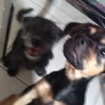 Scott E Amora - @scottamora18 - Instagram