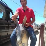 hugo ramos capelo - @hugoramoscapelo - Instagram