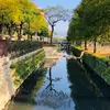 Amos Chen - @amos.chen1 - TikTok