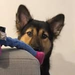 @amoschongg - Instagram