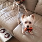 Amos Coleman - Facebook