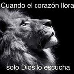 amos martinez - @amosmartinezguillen - Instagram