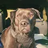 Amos Moses - @mr.amosmoses - TikTok