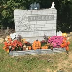 Kelly Tucker Amos - Facebook