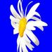 Amos Turner - Facebook