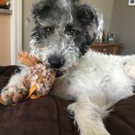 Amos Yoder - @famousamosyoder - Instagram
