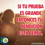 amparo Avila - @amparo_rodas_ - Instagram